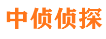 贡井市私家侦探